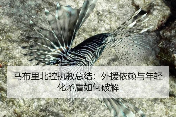 ma-bu-li-bei-kong-zhi-jiao-zong-jie-wai-yuan-yi-lai-yu-nian-qing-hua-mao-dun-ru-he-po-jie-3-970.jpg