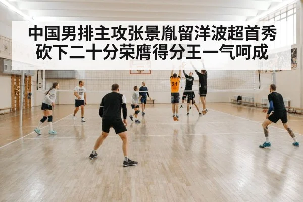 volleyball block